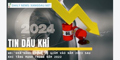 Bản tin video ngày 27-10-22: Dự báo giá năng lượng năm 2023-2024 từ Ngân hàng Thế giới | xangdau.net