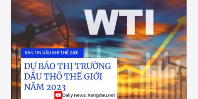 Bản tin video ngày 29-12-22: Dự báo thị trường dầu thô năm 2023 - Tập trung vào sự phục hồi của Trung Quốc | xangdau.net