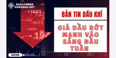 Bản tin video ngày 29-03-22: Giá dầu rớt mạnh vào sáng đầu tuần | xangdau.net