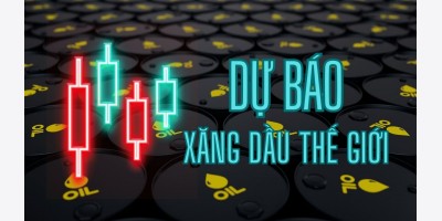 Bản tin dự báo thị trường dầu thô thế giới tuần 19/2025