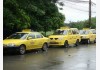 Cú sốc giá dầu thúc đẩy doanh số xe điện toàn cầu tăng vọt 35%