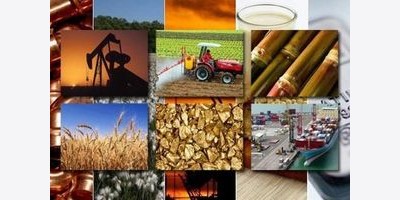 CPI tháng Tám tăng 0,88%: Do xăng, dầu và lương thực lên giá