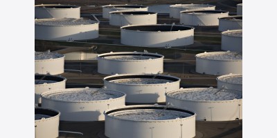 Dự trữ dầu thô của Mỹ tiếp tục tăng khi sản lượng đạt mức cao mới