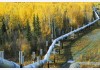 Alberta lập kế hoạch xây dựng đường ống dẫn dầu cát mới đến British Columbia để không đi qua Mỹ