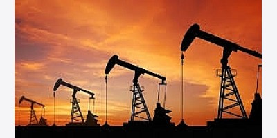 IEA nâng dự báo nguồn cung dầu năm 2025 sau quyết định tăng sản lượng của OPEC+