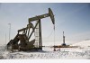 BP rao bán mảng kinh doanh dầu khí tại Biển Bắc