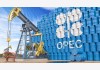Iraq thúc ép OPEC tăng mạnh hạn ngạch dầu mỏ của nước này