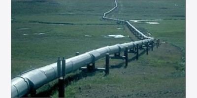 Iraq và UAE chạy đua thiết lập các đường ống dẫn dầu thay thế khi xuất khẩu qua eo biển Hormuz giảm mạnh